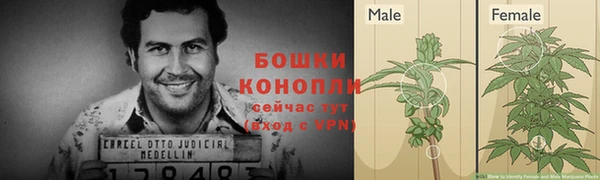 эйфоретик Мегион