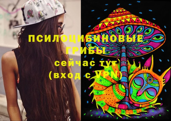 спиды Медвежьегорск