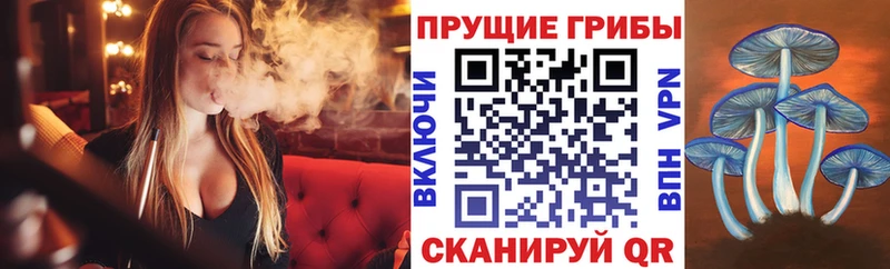 Псилоцибиновые грибы мицелий как найти закладки Темников